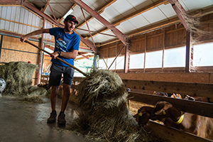 Yannick Rochas de la ferme du pic Saint-Michel