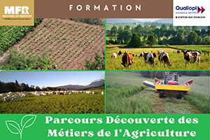 Découvrir les métiers de l'agriculture