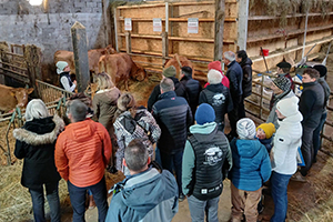 à la ferme de la Grand'Mèche