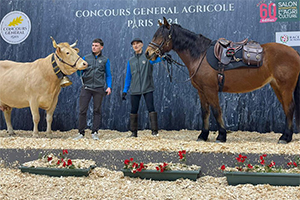 cheval et vache au SIA