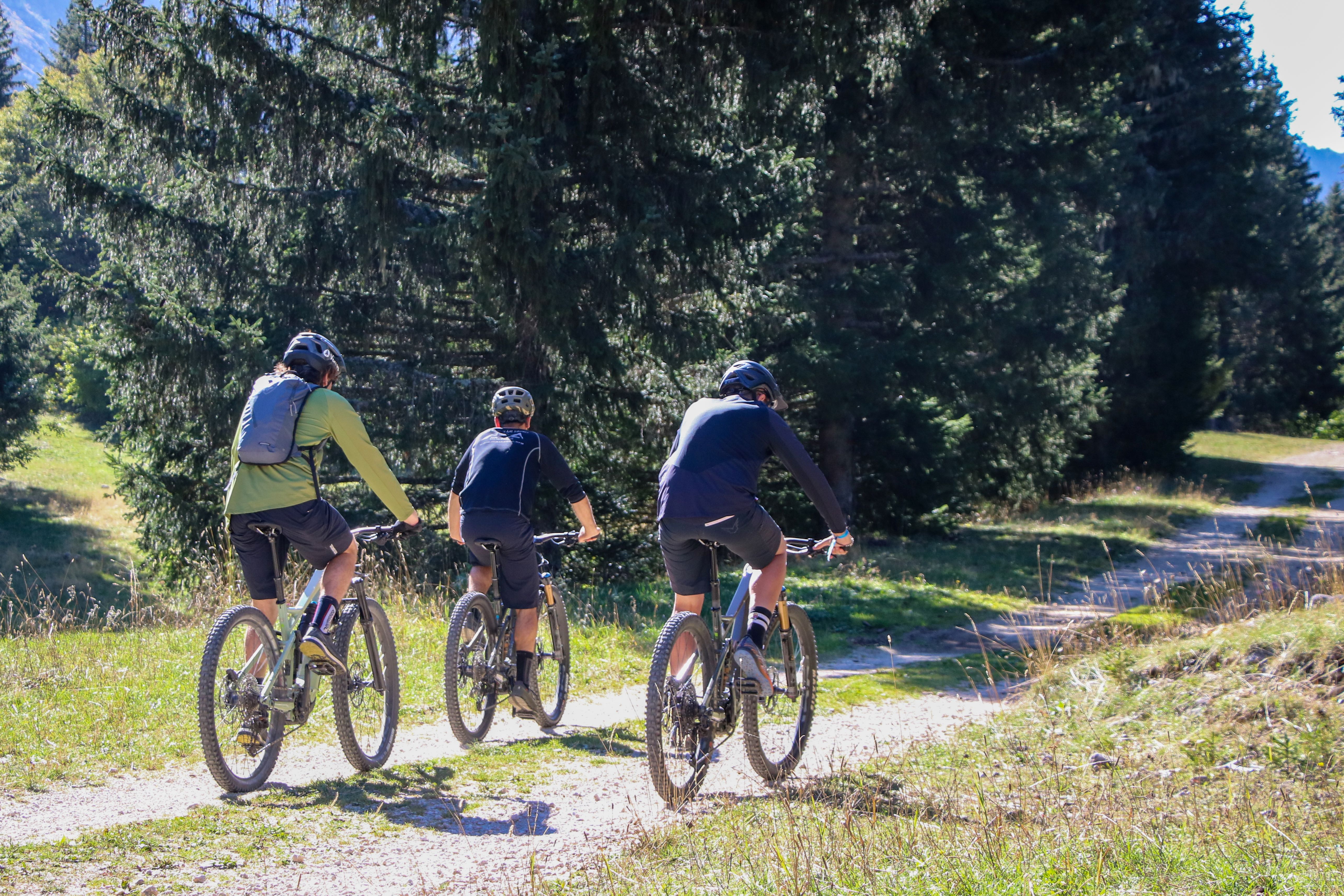 Balade commentée en forêt à VTT