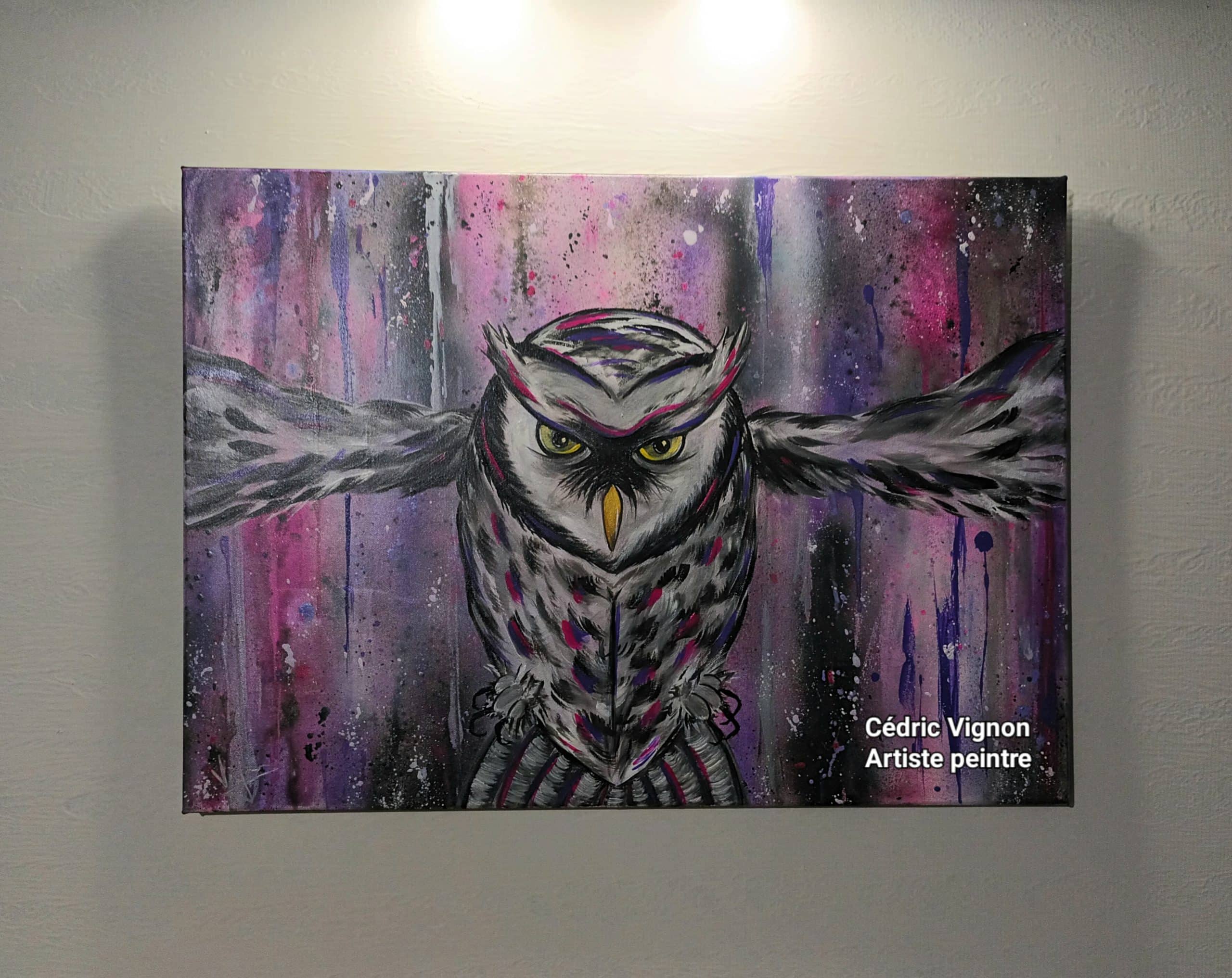 Exposition Street Art - Cédric Vignon