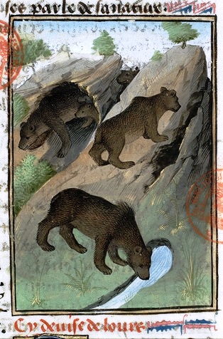 Contes de l'Ours, par les Verconteuses