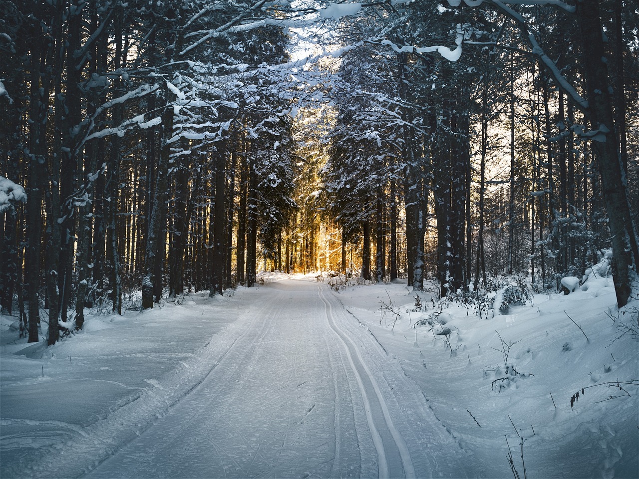 Osez le Nordic : initiation ski nordique