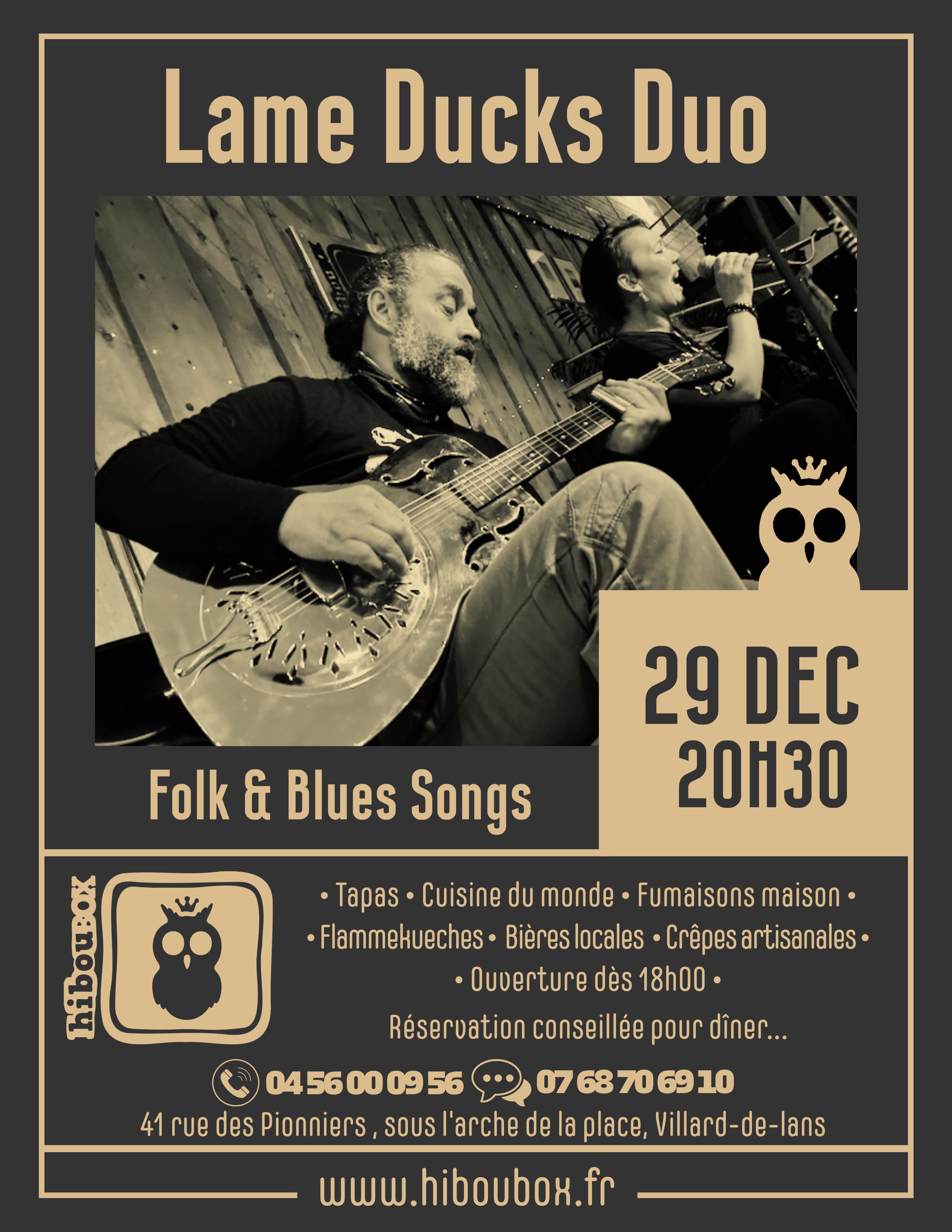 Concert Lame Duck Duo - Folk Blues Song