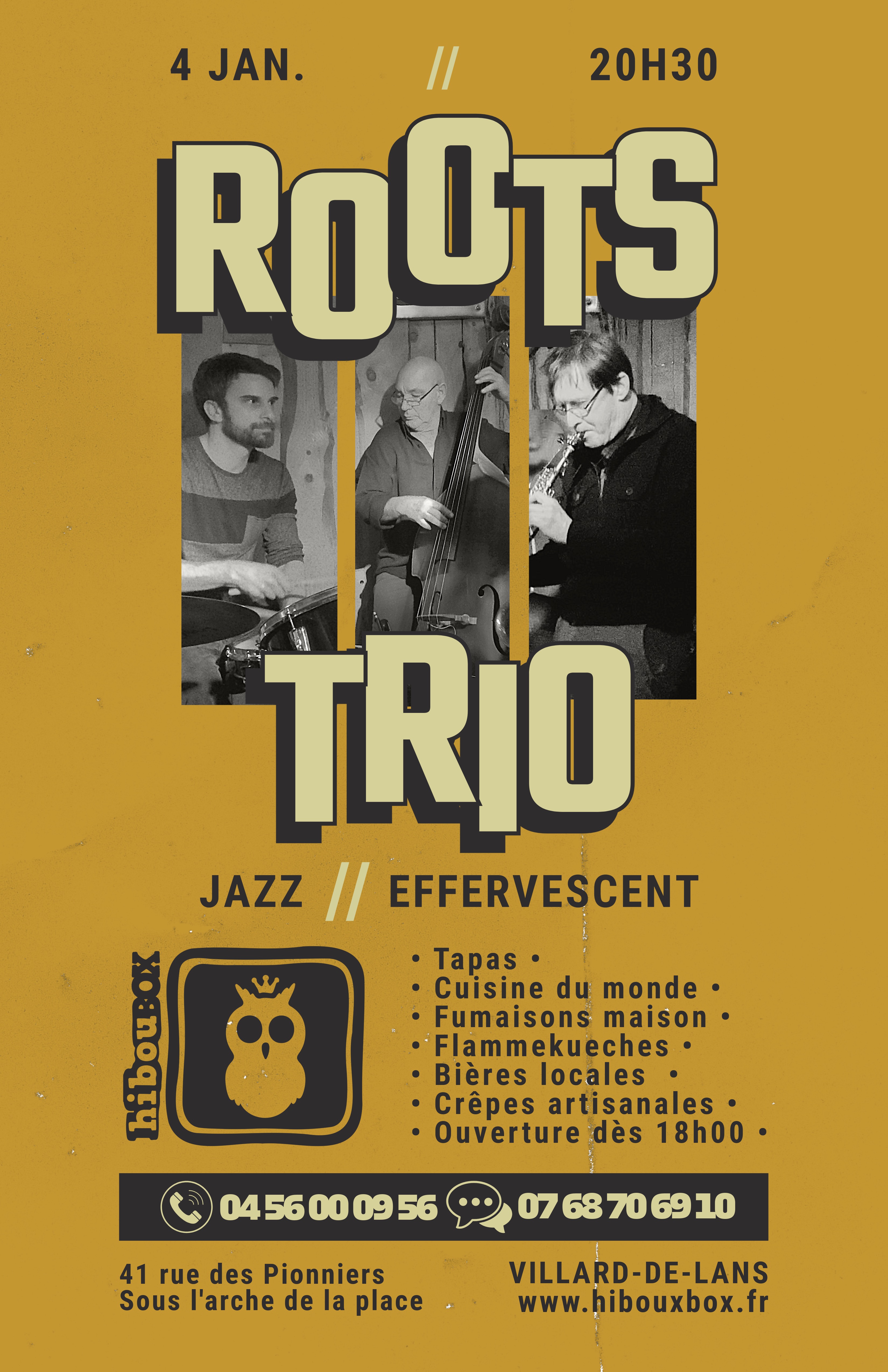 Concert Roots trio - Jazz effervescent