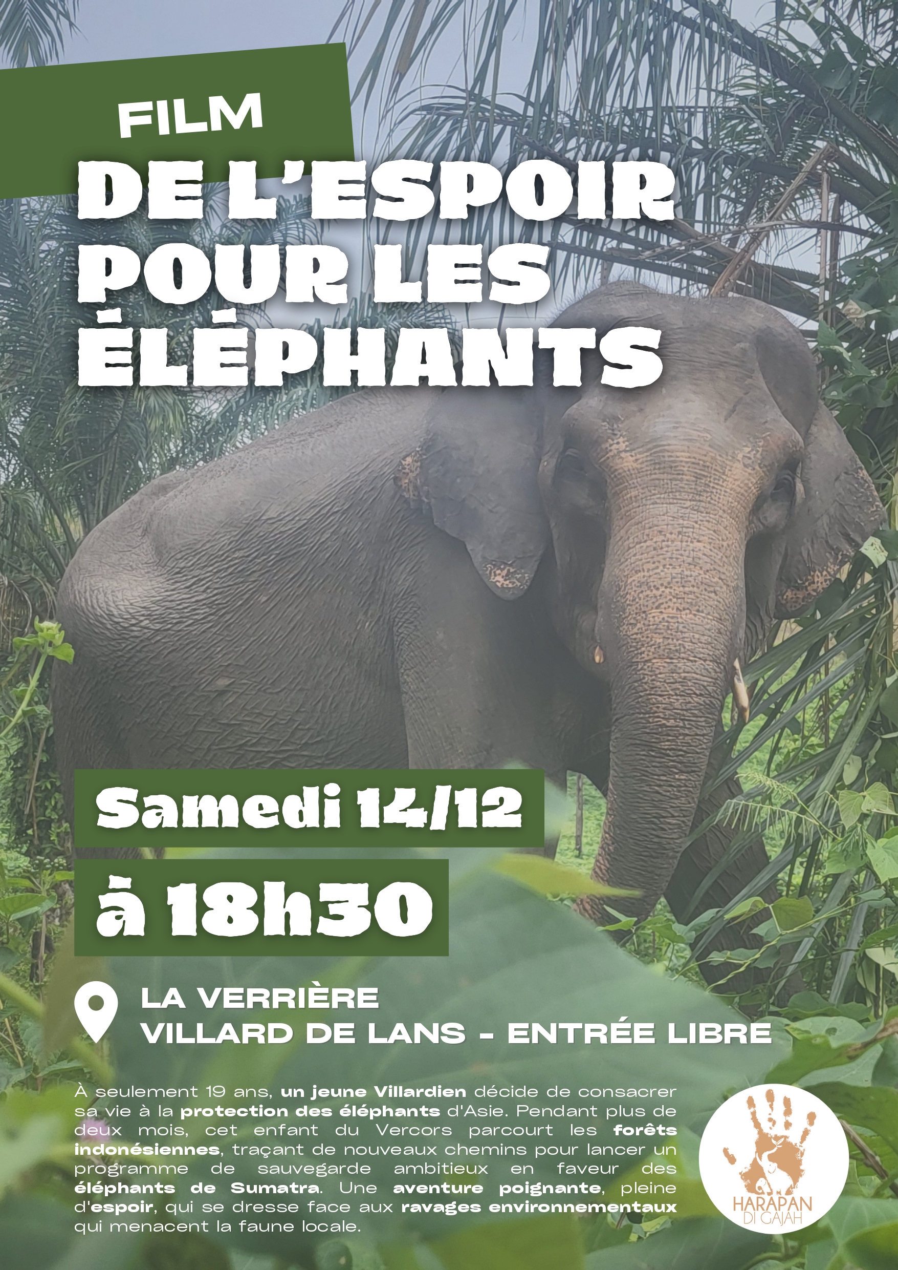 film "De l'espoir pour les éléphants"