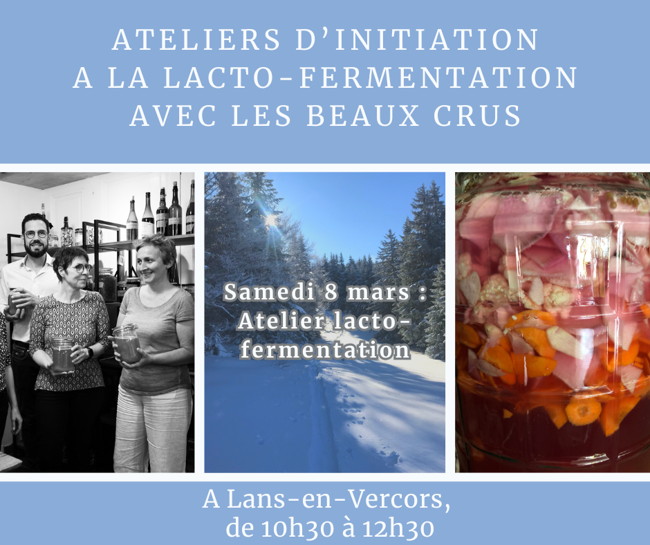 Atelier d'initiation à la lacto-fermentation