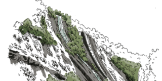 Bilan d'activité 2025