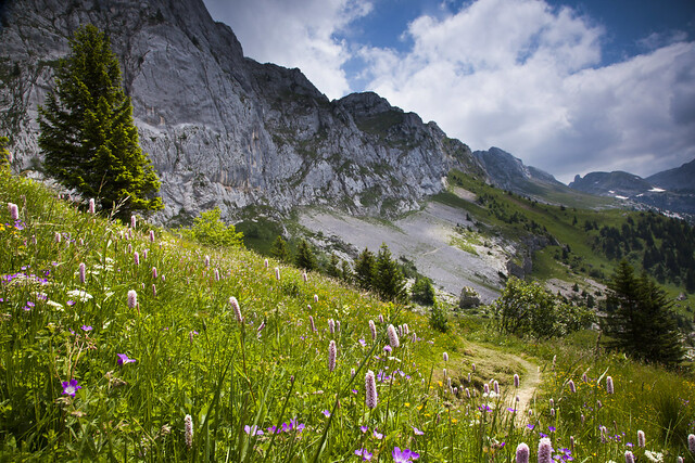 Le Parc Naturel Régional Du Vercors De Quoi Sagit Il 